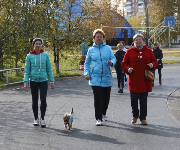 Всемирный день ходьбы