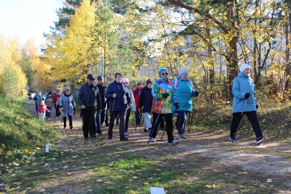 Международный день ходьбы