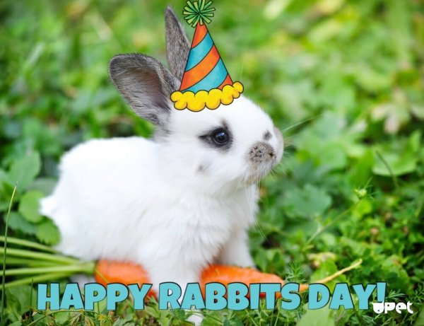 Кролик с бантиком