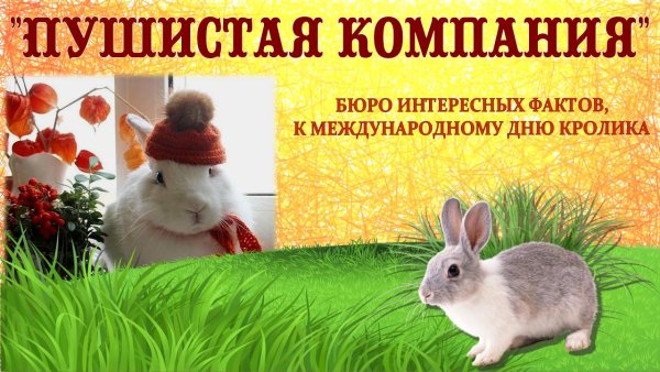 К чему снятся кролики женщине много