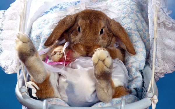 Заяц на пеньке