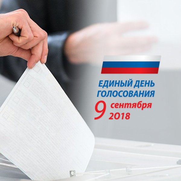 Голосование на пне