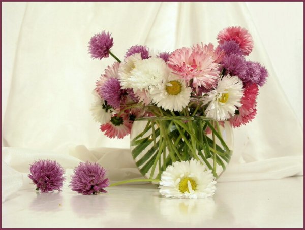 Букет из маргариток