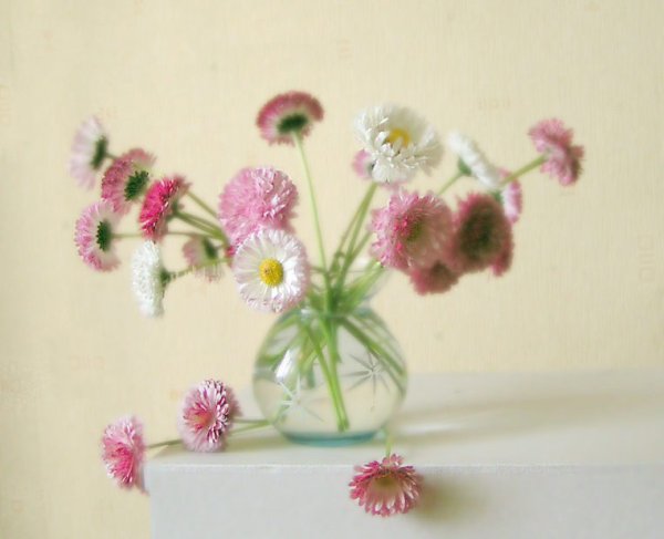 Букет маргариток с днем рождения