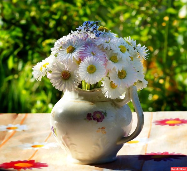 Красивый букет из маргариток