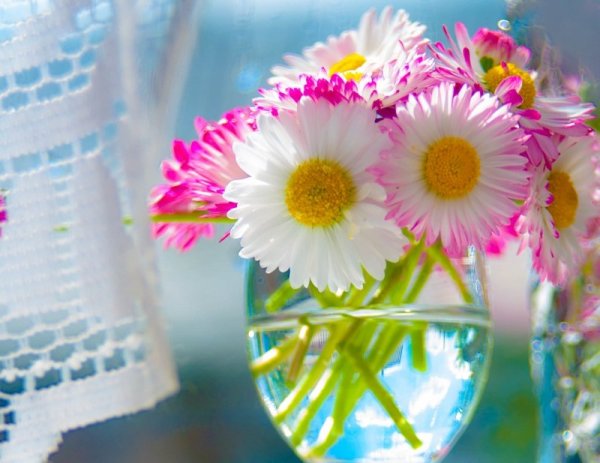 Маргаритка с днем рождения