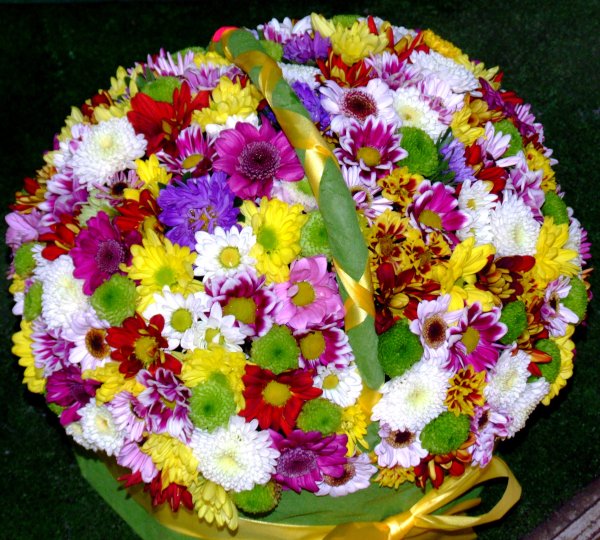 Букет из маргариток