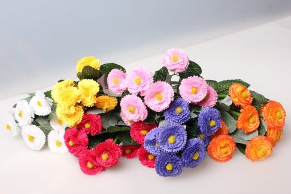 Астра Ромашка маргаритки