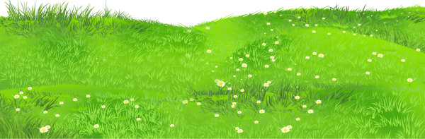 Поляна с цветами вектор