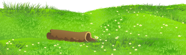 Нарисованная трава