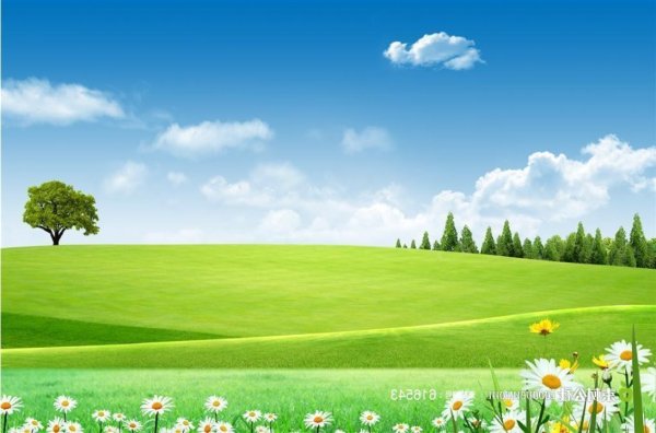 Поляна небо