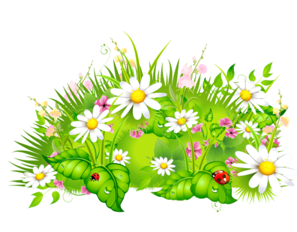 Цветочная Поляна для детей