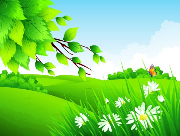 Лесная Полянка для детей