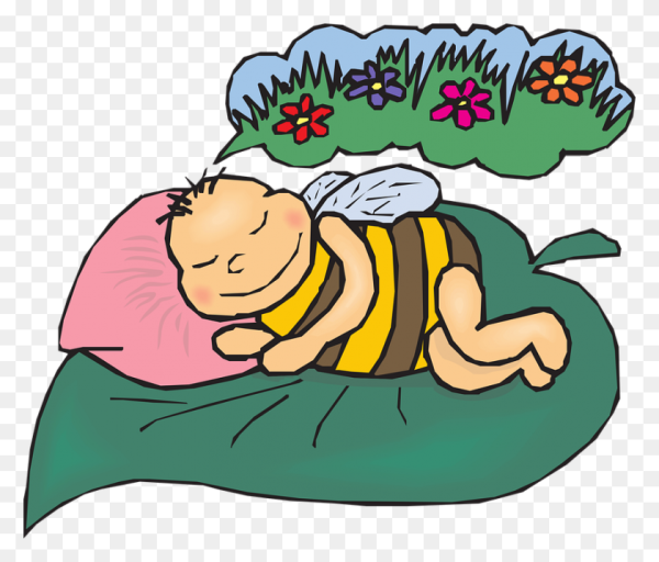 Сон мультяшный