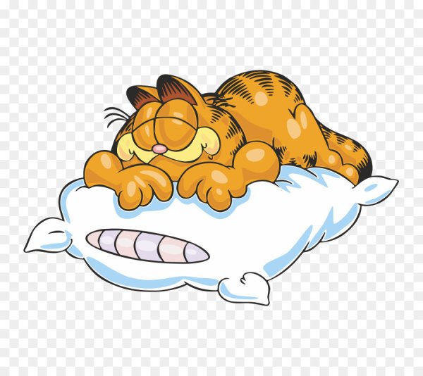 Мультяшка спит