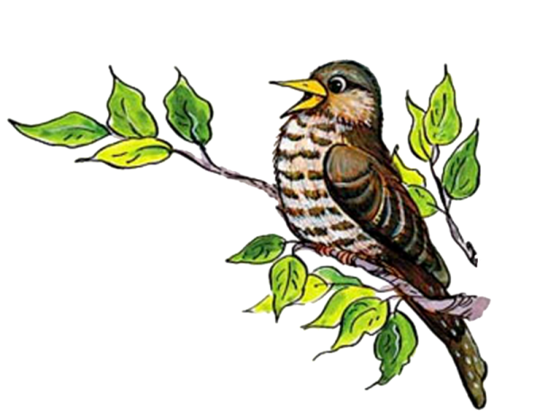 Изображение кукушки для детей