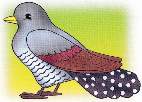 Кукушка рисунок