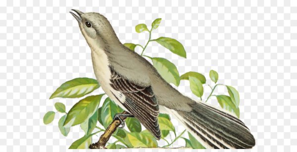 Соловей для детей