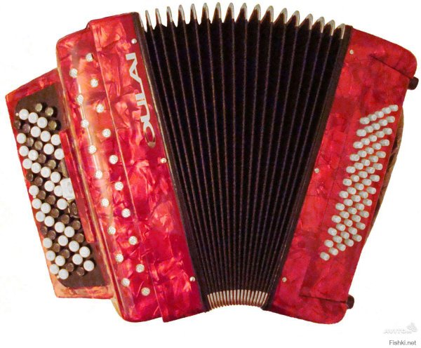 Гармонь на белом фоне