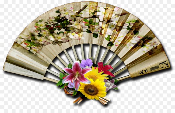 Веер на прозрачном фоне