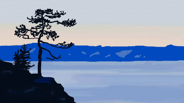 Нерпа Байкал вектор