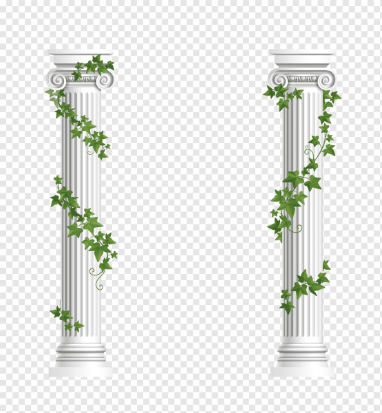 Лианы на колонне