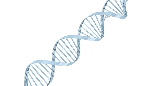 ДНК на прозрачном фоне