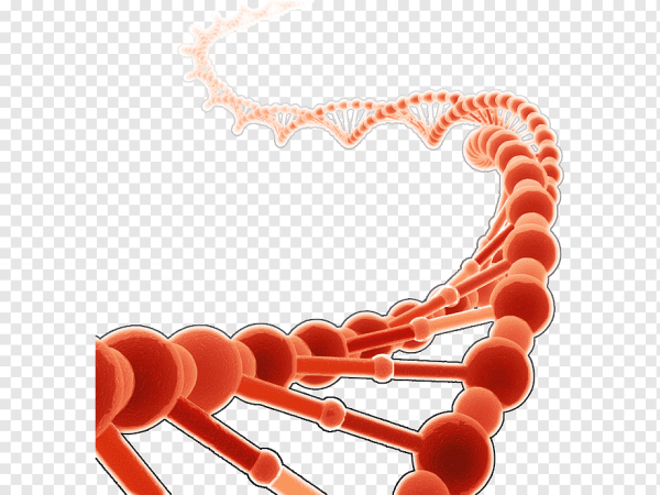 Гены без фона