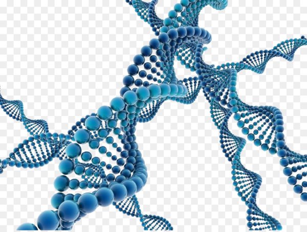 Цепочка ДНК на прозрачном фоне