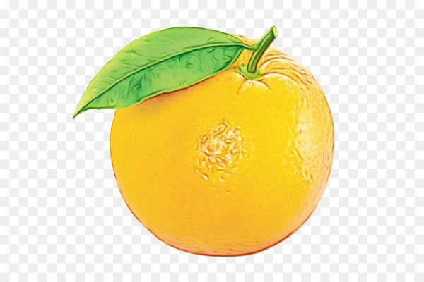 Апельсин на белом фоне