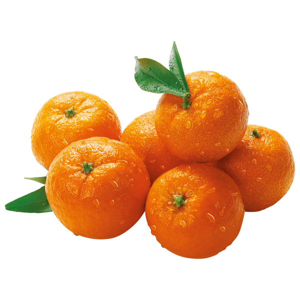 Мандарин Танжерин