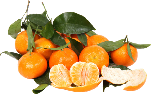 Мандарин оранжевый Клементин