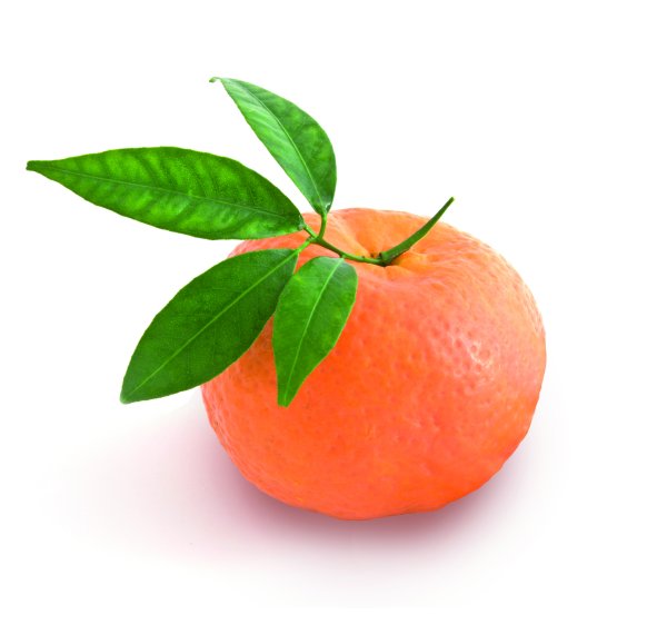 Мандарин на белом фоне