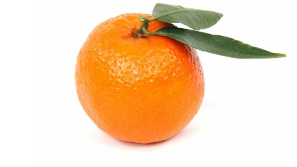 Меола мандарин