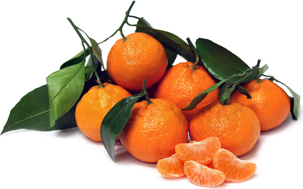 Мандарин Сацума