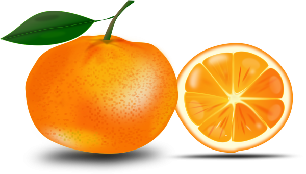 Векторный мандарин