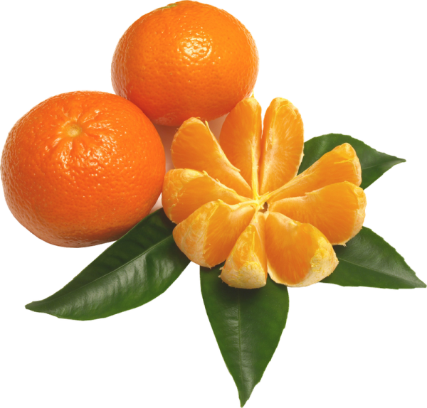 Мандарин в Виктории