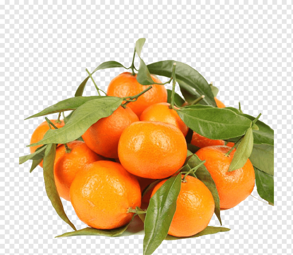 Мандарин на белом фоне