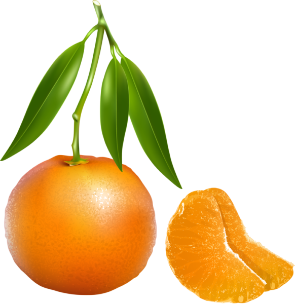Клипарт мандарины на прозрачном фоне