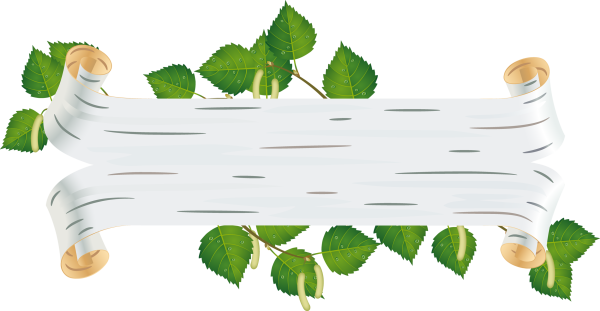 Березовая кора вектор