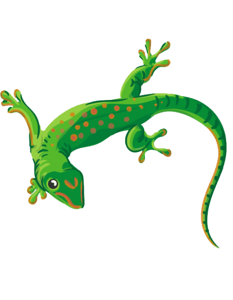 Ящерка на прозрачном фоне