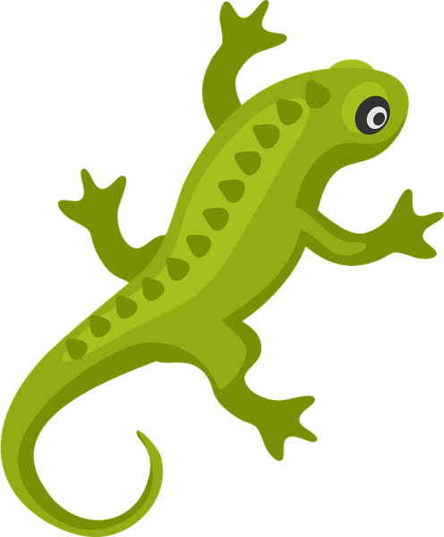 Ящерица рисунок