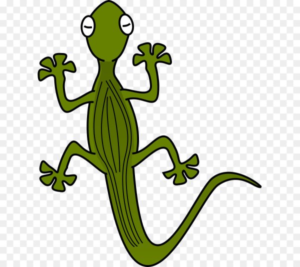 Ящерица на прозрачном фоне