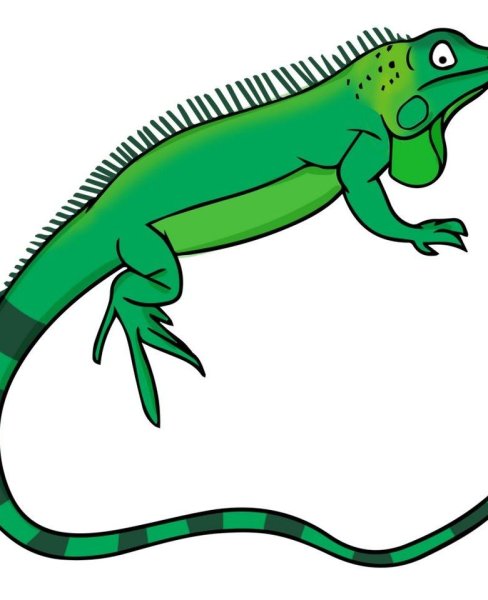 Ящерка на прозрачном фоне