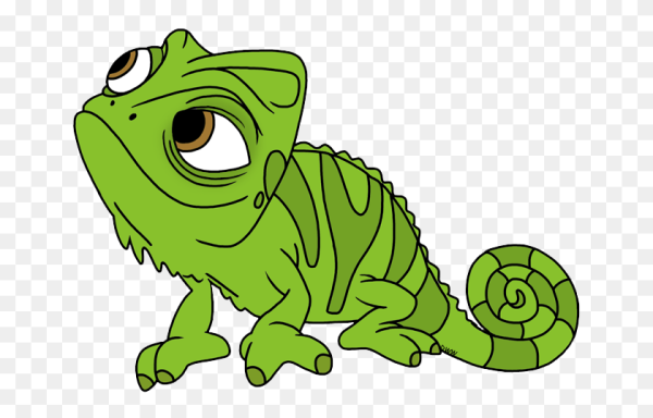 Ящерица на белом фоне