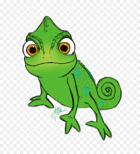 Ящерица на белом фоне