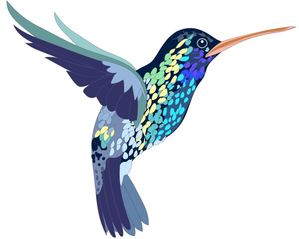 Райские птицы на белом фоне