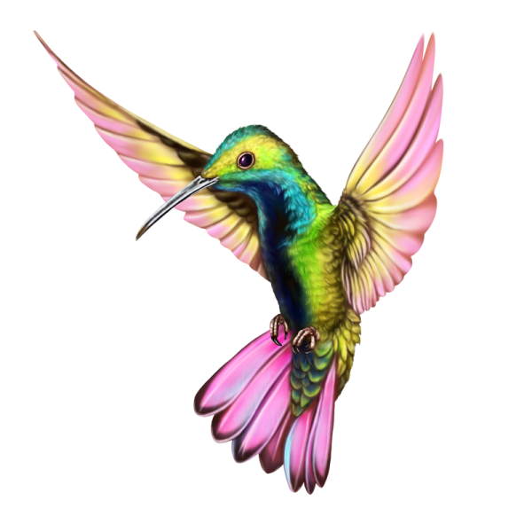 Колибри мультяшная