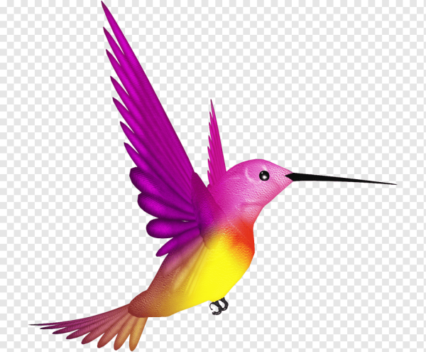 Яркие птички