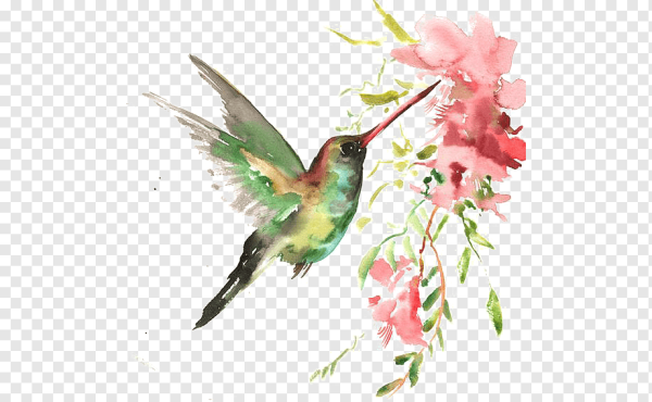 Цветы и птицы на белом фоне